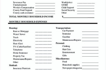 Dislocated Worker Monthly Budget Worksheet