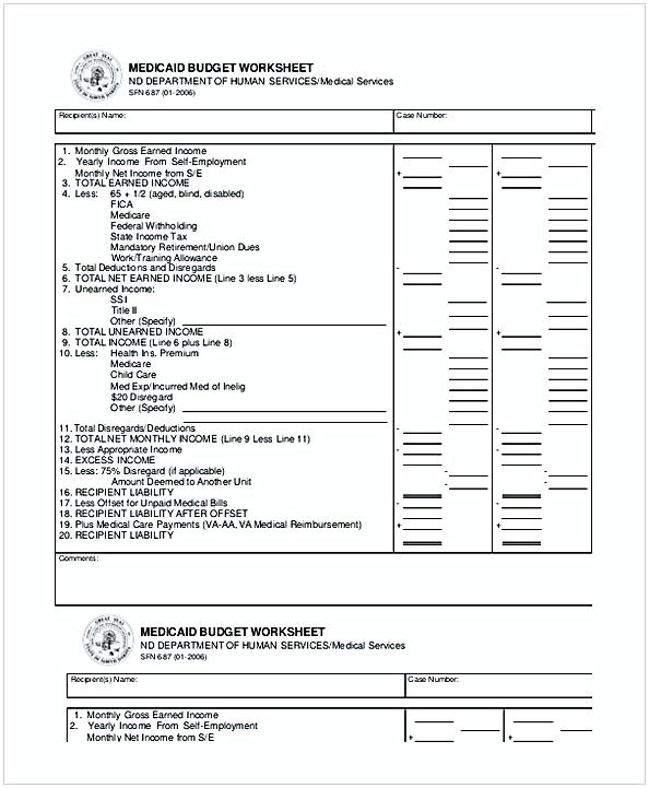 Medicaid Budget Worksheet 1