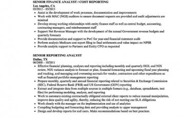 senior reporting analyst resume sample