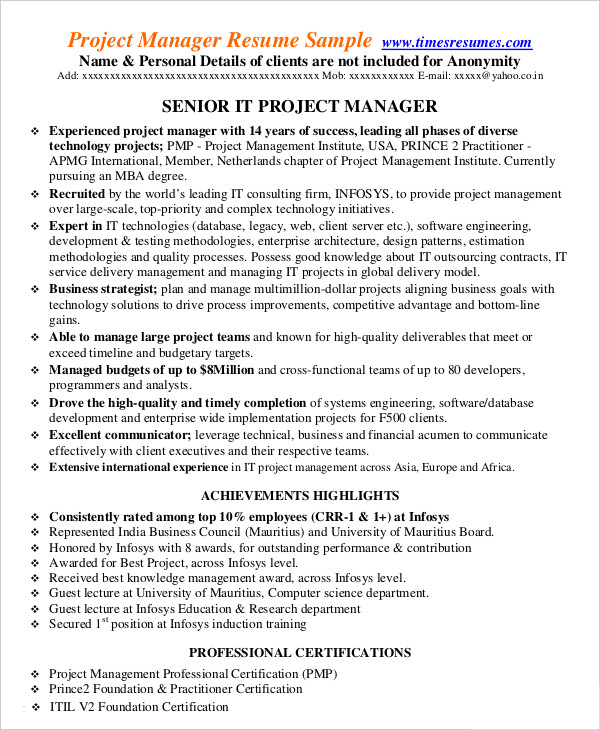 IT Project Management Resume