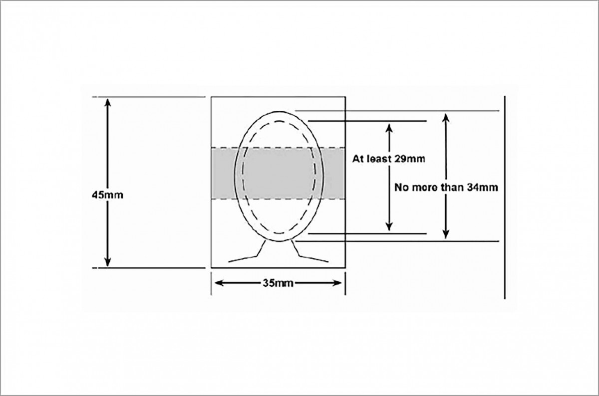 uk passport photo templates