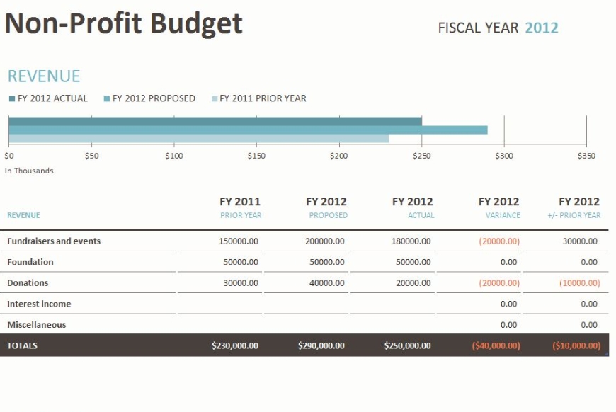 non profit budget template sample