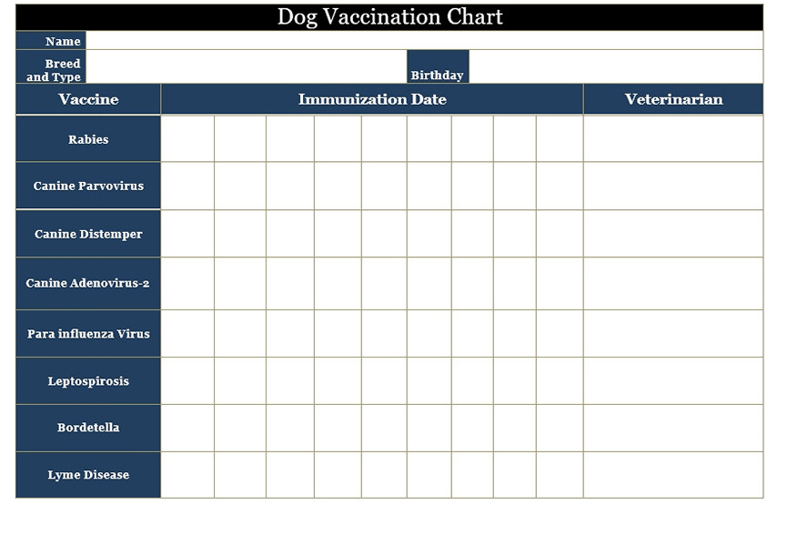 Dog Vaccination Chart Dog Vaccination Chart