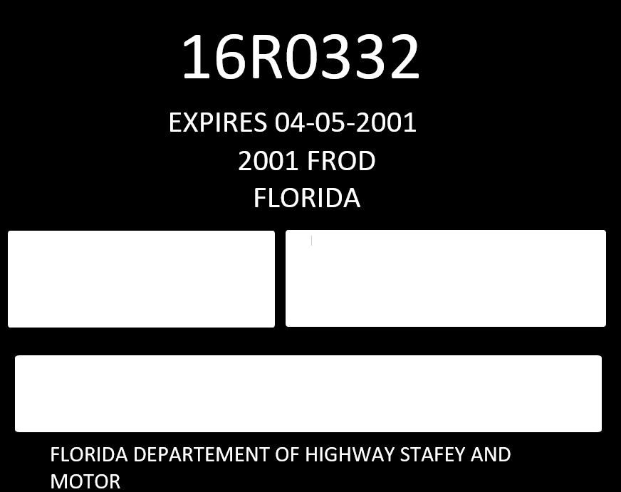 Florida Temporary License Plate