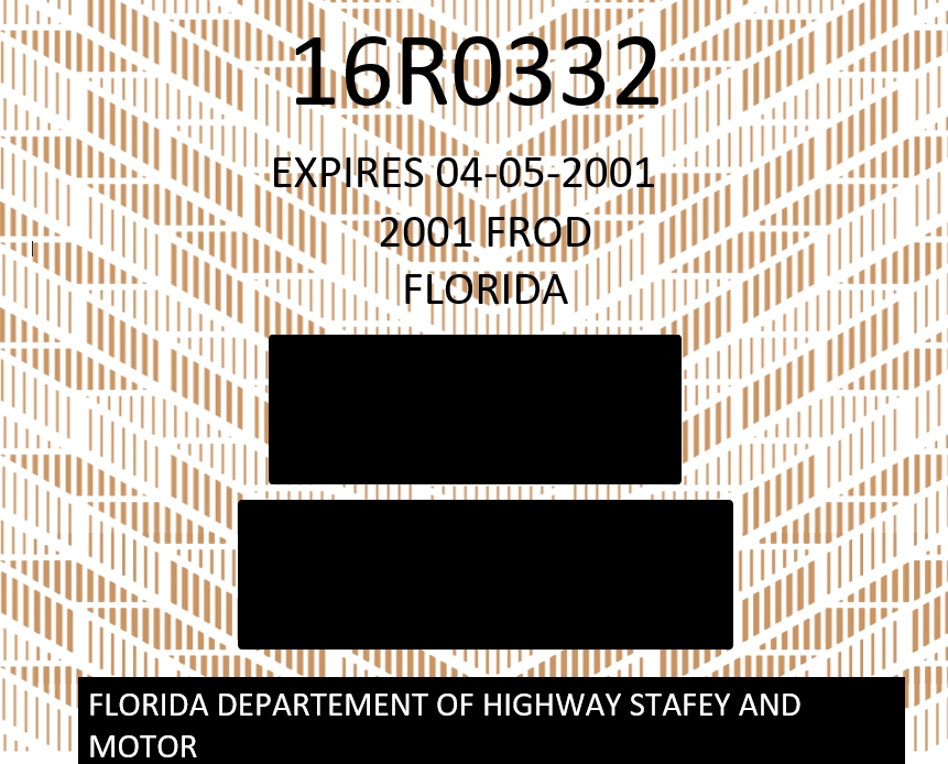 Pattern License Plate Template
