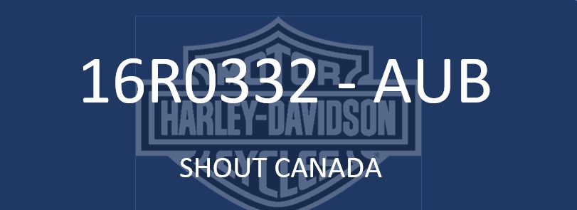 Printable Temporary License Plate Shout canada