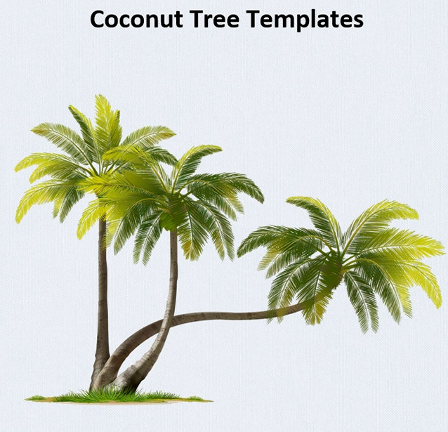 coconut tree templates coconut tree templates