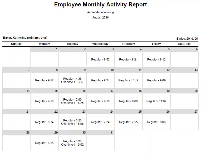 Employee Monthly Activity Report