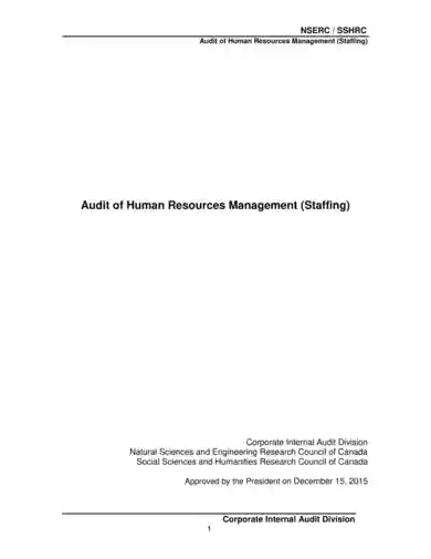 HR Audit Staffing Report