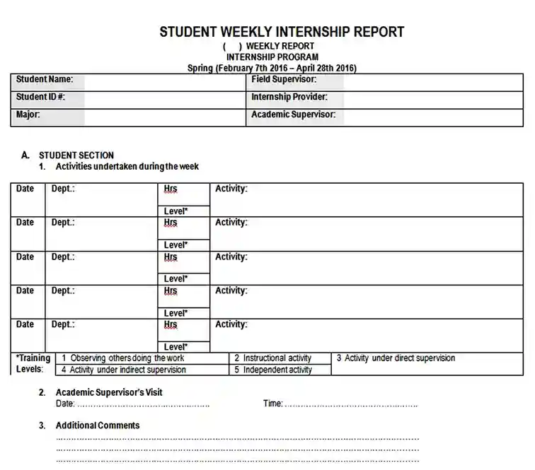 Student Internship Weekly Report