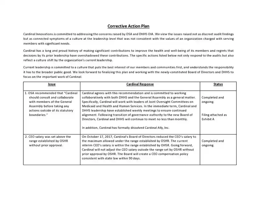 corrective action plan template 15