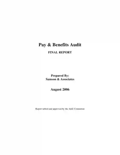 pay benefit audit report