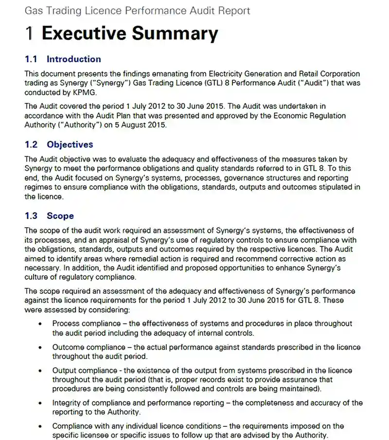 Performance Audit report Performance Audit report